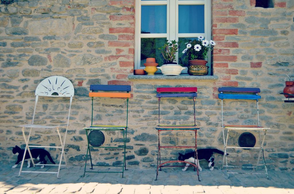 Cascina Il Convivio Pensionat Diano dʼAlba Eksteriør billede