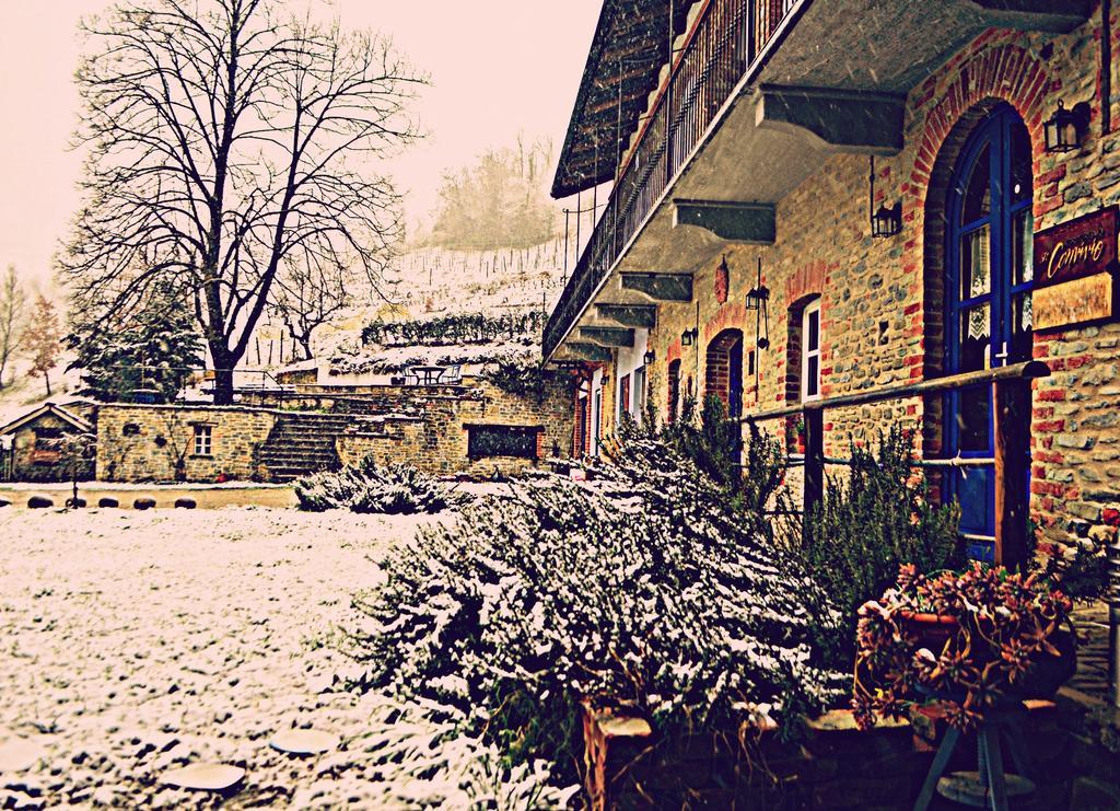 Cascina Il Convivio Pensionat Diano dʼAlba Eksteriør billede